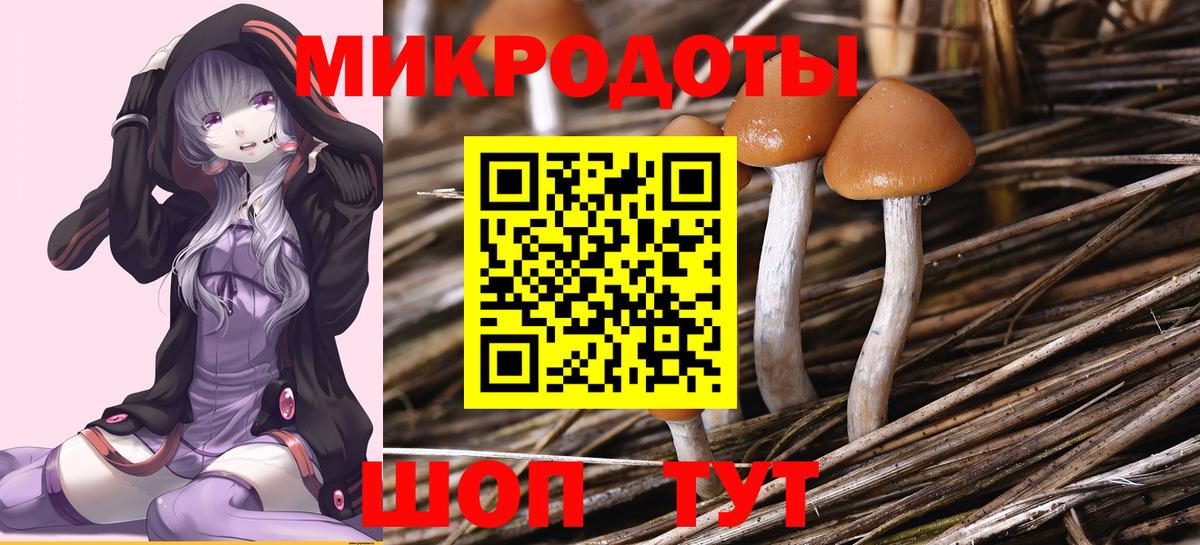 Бердск  Псилоцибиновые грибы мухоморы  Вход с VPN 